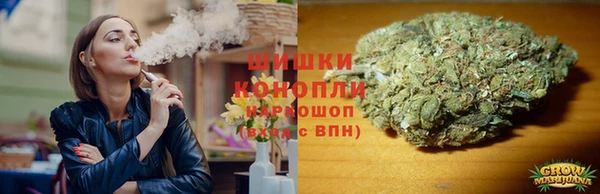 прущие крисы Аркадак
