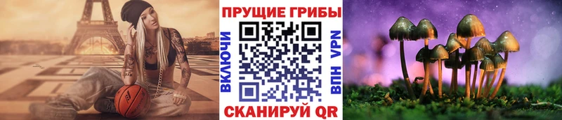 Галлюциногенные грибы Psilocybine cubensis  наркота  Рудня 